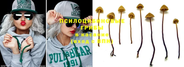 скорость Корсаков
