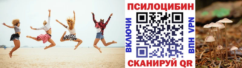 Псилоцибиновые грибы Psilocybe  Купить  Нахабино 